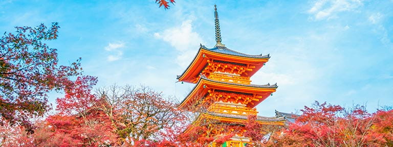 The beautiful Kiyomizu-dera Temple in Kyoto, Japan